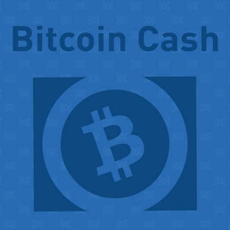 Bitcoin Cash (BCH)