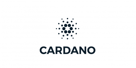 cardano unoversity promissora criptomoedas promissoras investir blockchain cryptocurrency financial